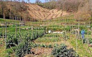 Huerto lúdico de Azpeitia. Foto: J.L.