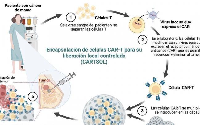 Infografía realizada por la Universidad de Santiago de Compostela