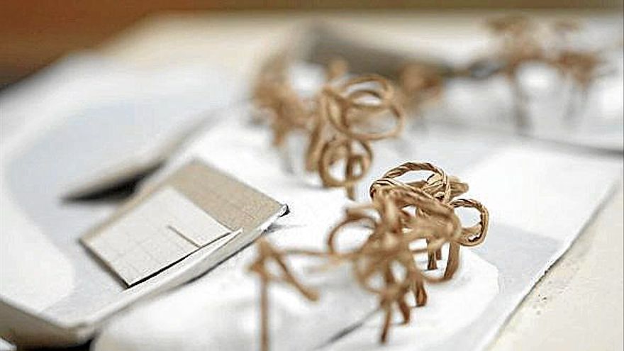 Betoño se convierte en musa de sus posibles futuros arquitectónicos