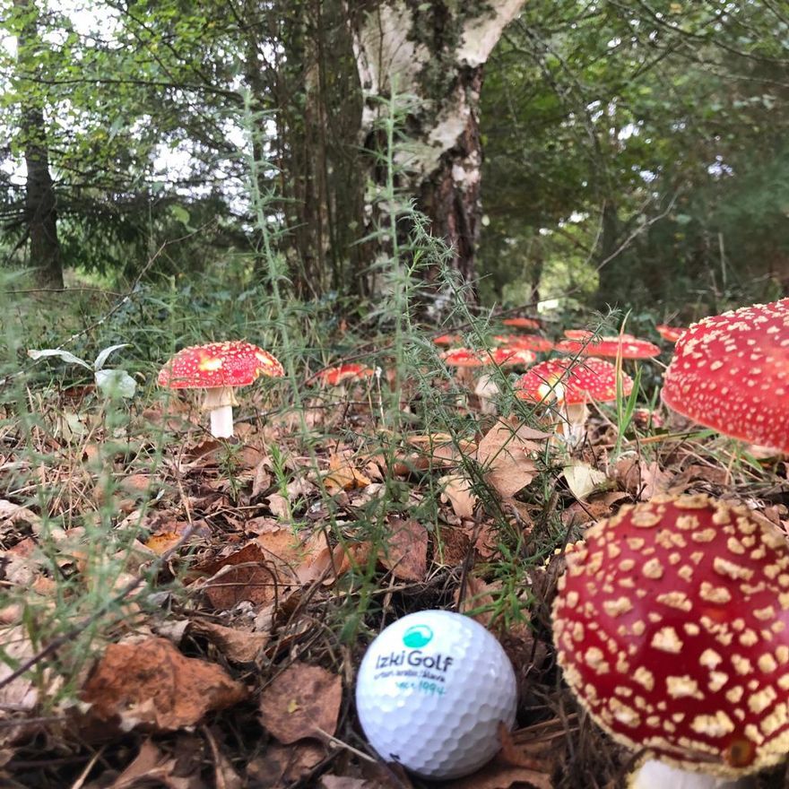 La micología es una actividad importante en Montaña Alavesa