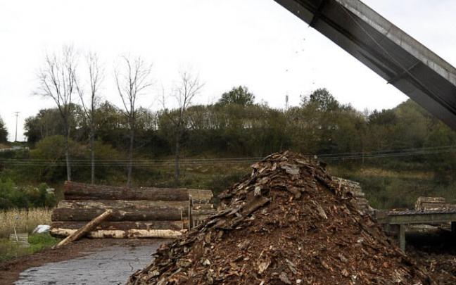 Trabajo previo al uso de biomasa.