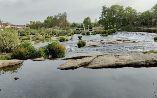 Imagen del Río Tormes a su paso por la localidad de Puente del Congosto (Salamanca). Imagen del Río Tormes a su paso por la localidad de Puente del Congosto (Salamanca).