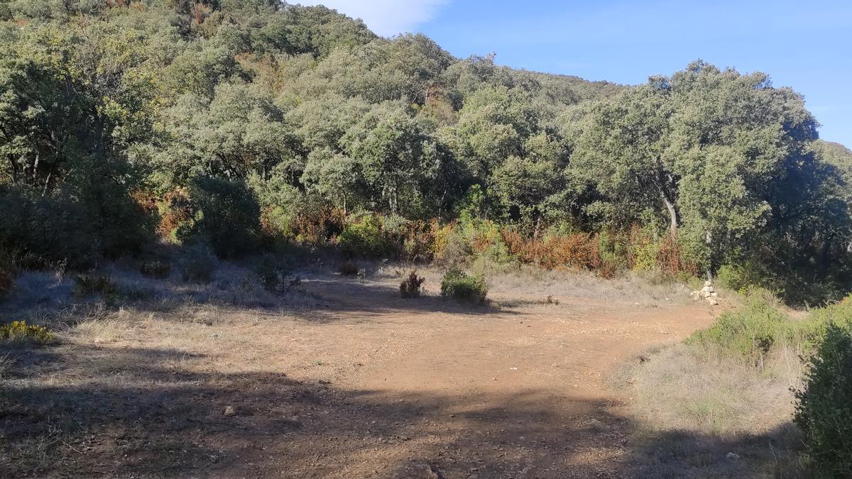 Al sendero de la izquierda