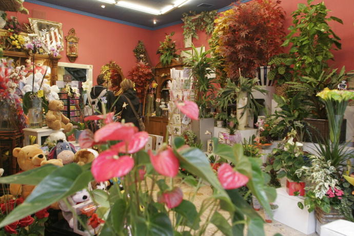 Interior de una floristería