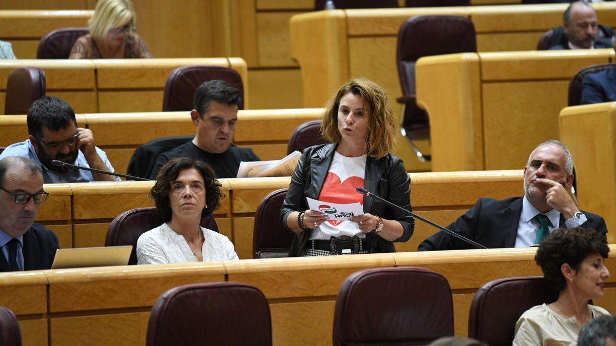 Almudena Otaola, durante su intervención en el Senado