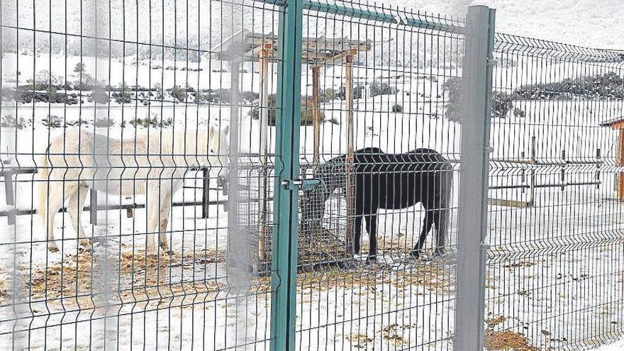 Segundo día de nieve en Álava