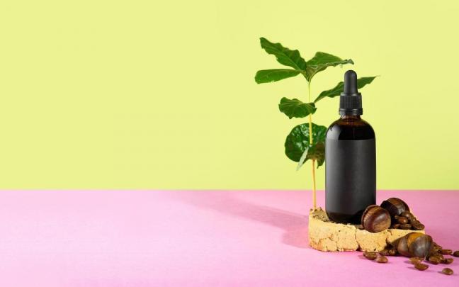 Aceite de casta&ntilde;as junto a varios frutos.