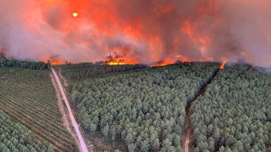 Dos incendios devastadores se declaran al sur de Burdeos. Imagen tomada el 12 de julio de 2022 en Landiras.