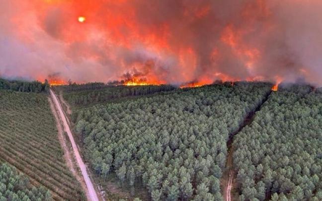 Dos incendios devastadores se declaran al sur de Burdeos. Imagen tomada el 12 de julio de 2022 en Landiras.
