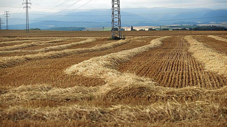 Campo de cereal ya cosechado; abajo, en plena vendimia.