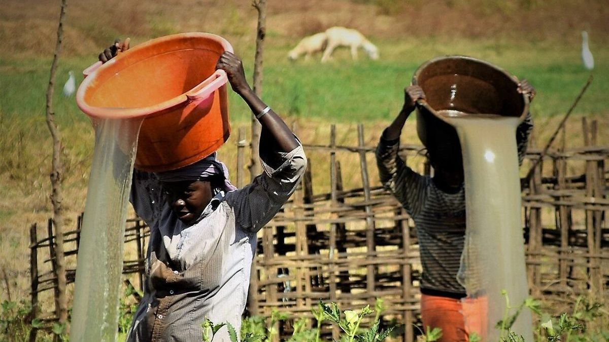 Dos mujeres riegan plantas en Guinea