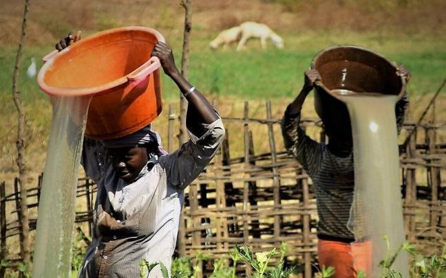 Dos mujeres riegan plantas en Guinea