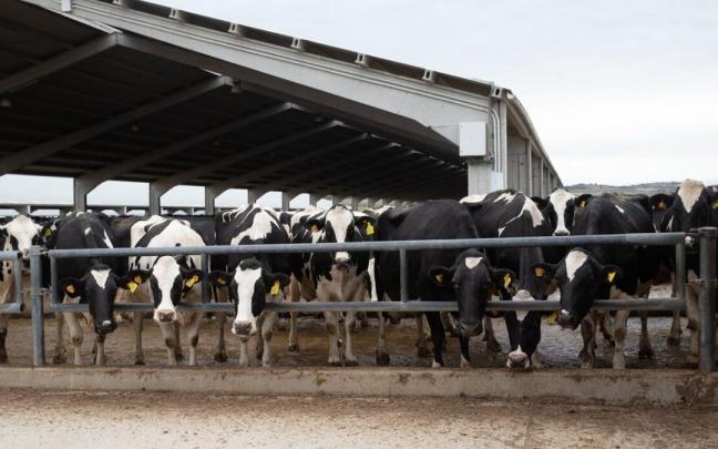 Las instalaciones de Caparroso.