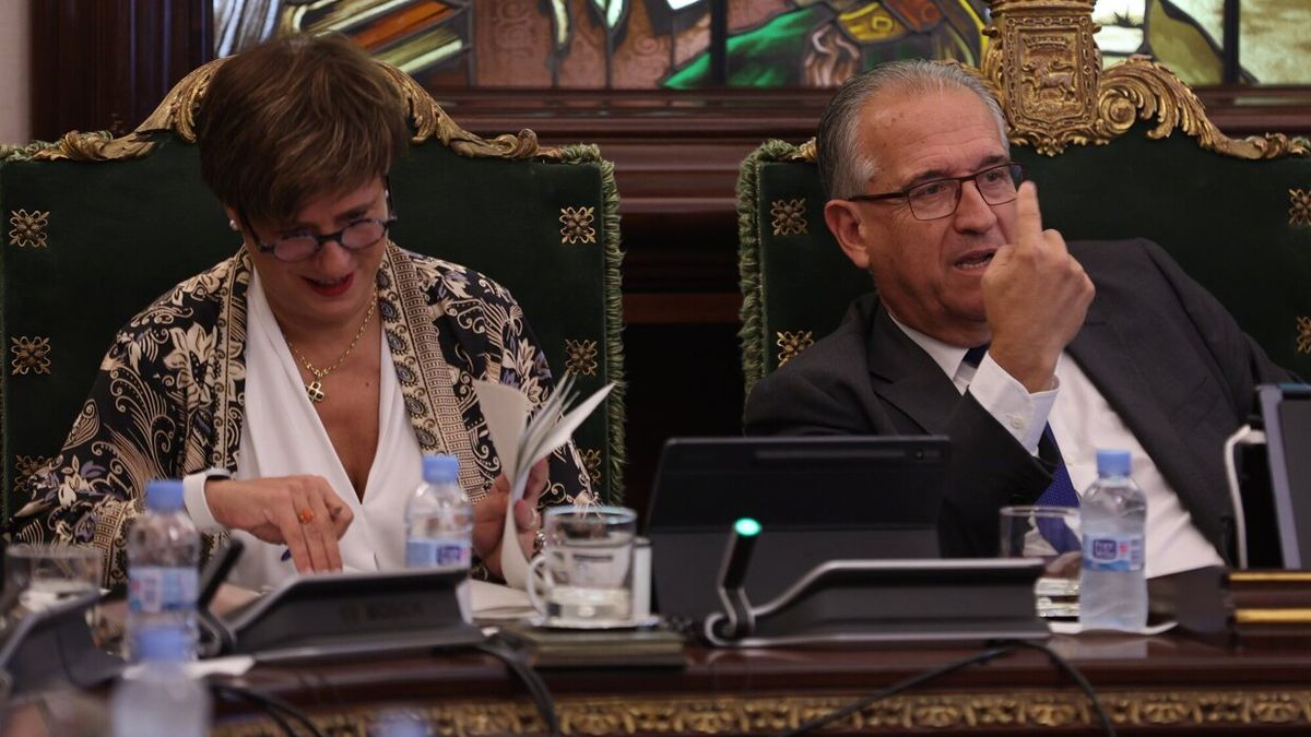 Maya, en un momento del Pleno de ayer.