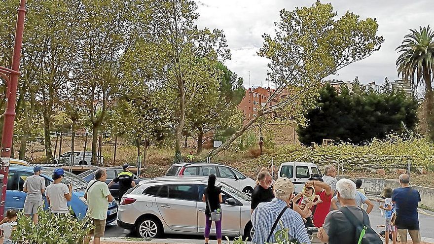 Un buen número de vecinos de Lutxana protestó durante el talado de los emblemáticos árboles de Serralta.