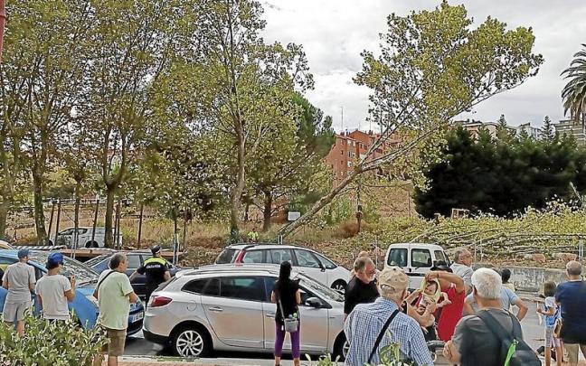 Un buen n&uacute;mero de vecinos de Lutxana protest&oacute; durante el talado de los emblem&aacute;ticos &aacute;rboles de Serralta.