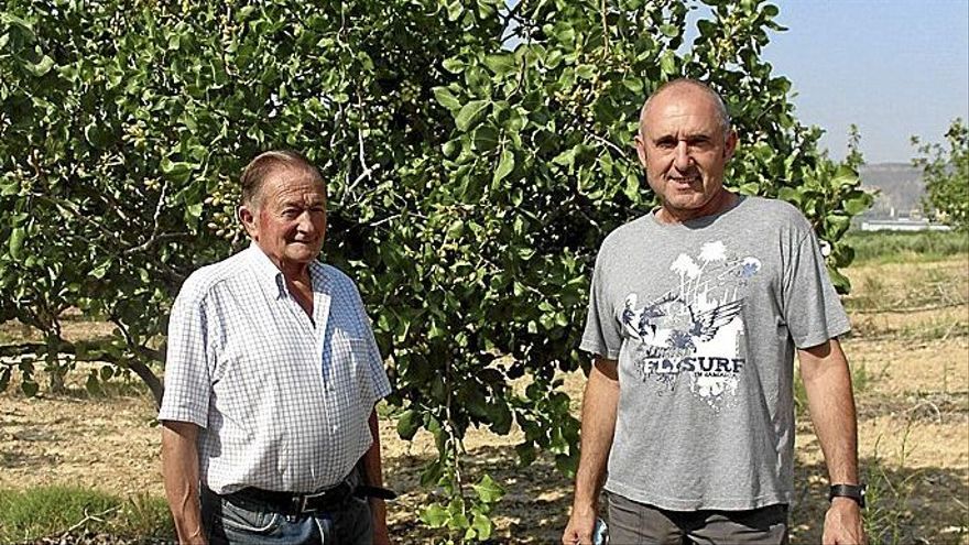 Ángel y Javier Grocin Fernández posan delante de uno de los pistacheros que plantaron en la primera pieza.