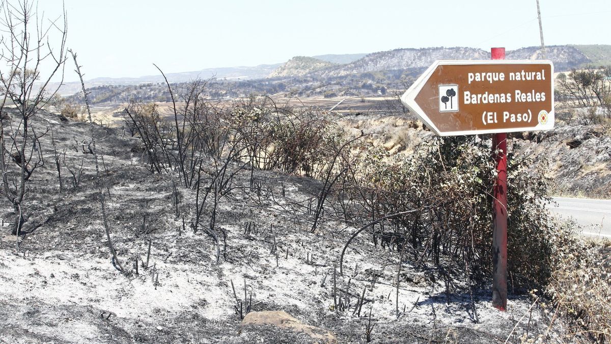 Superficie quemada por el incendio en Carcastillo