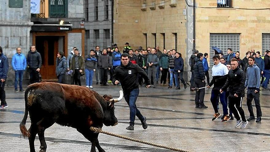 El domingo habrá una sokamuturra para adultos. | FOTO: JAVI COLMENERO