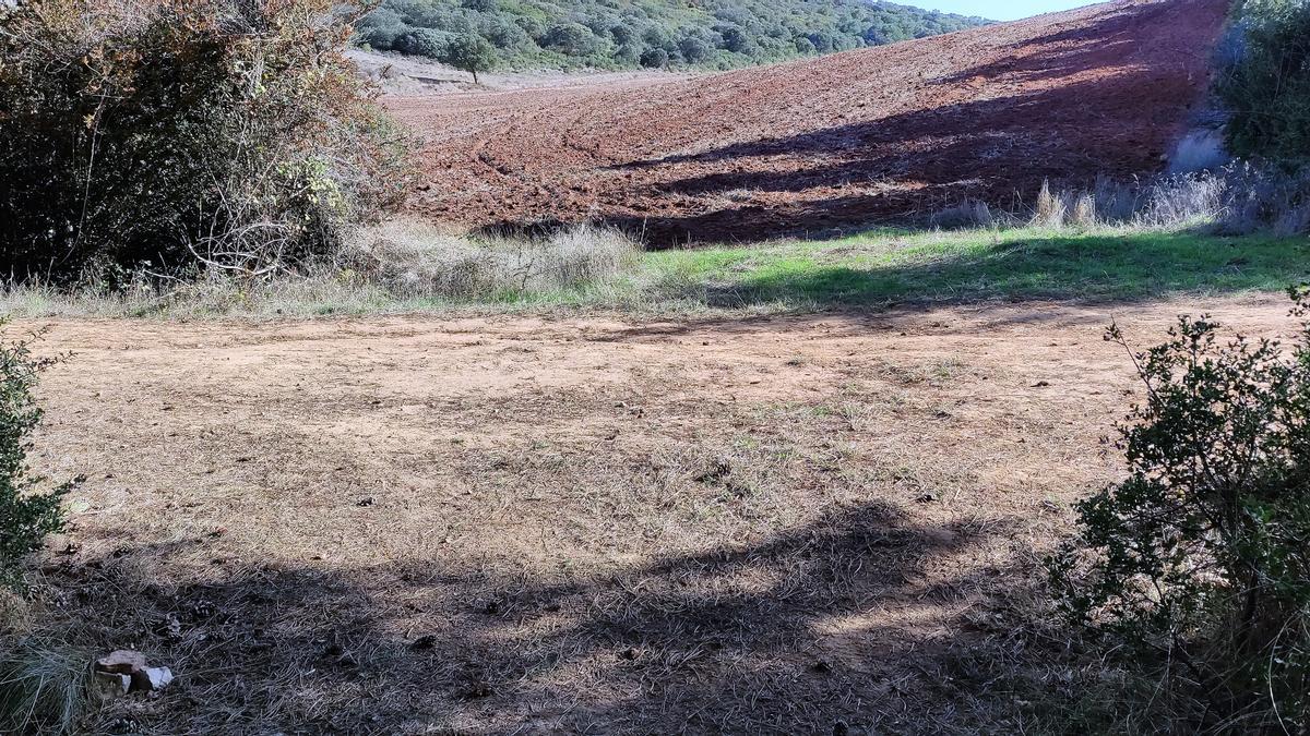 Desembocamos en pista