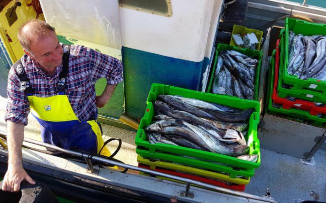 Descarga de merluza.