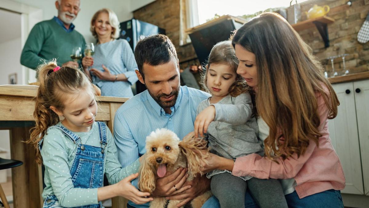 Adopta un perro es responsabilidad de toda la familia ytodos sus miembros deben darle la bienvenida.