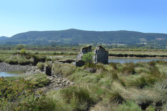 El Parlamento vasco ha aprobado la Ley de conservación del Patrimonio Natural de Euskadi.
