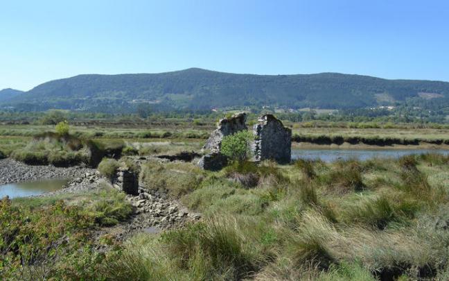 El Parlamento vasco ha aprobado la Ley de conservación del Patrimonio Natural de Euskadi. El Parlamento vasco ha aprobado la Ley de conservación del Patrimonio Natural de Euskadi.