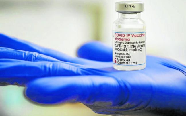 El mosquito apareció en un vial de la vacuna de Moderna.