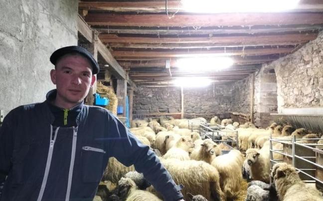 Aitor Urien se dedica a la elaboración de queso ecológico con sus 350 ovejas latxas cara negra. Aitor Urien se dedica a la elaboración de queso ecológico con sus 350 ovejas latxas cara negra.