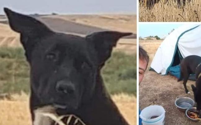 La publicaci&oacute;n en redes sociales