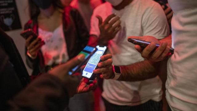 Urtaran ve "incomprensible" el rechazo del TSJPV al pasaporte covid