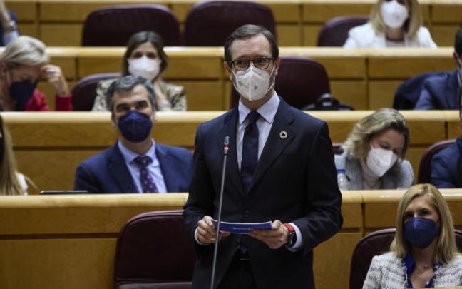 Javier Maroto, en el Senado. Javier Maroto, en el Senado.