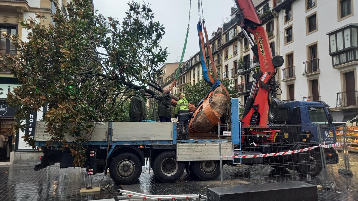 Magnolio plaza Sarriegi en el camión.