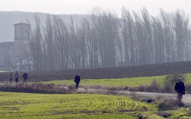Camino entre Vitoria y Mendiola