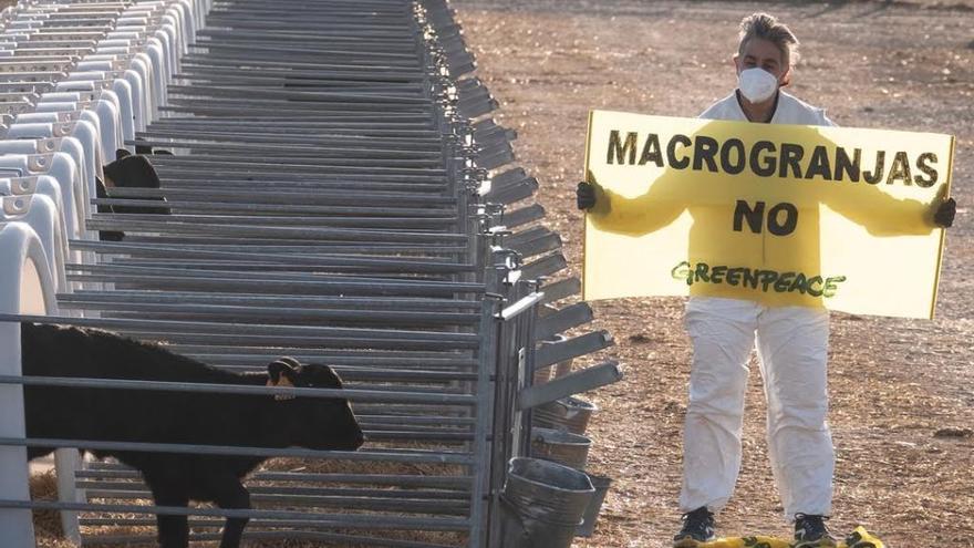 Protesta de Greenpeace en una macrogranja.