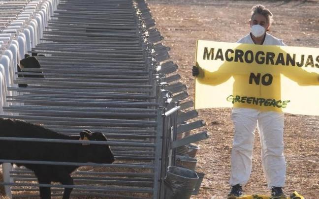 Protesta de Greenpeace en una macrogranja.