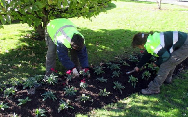 Imagen de trabajadores municipales en los parterres