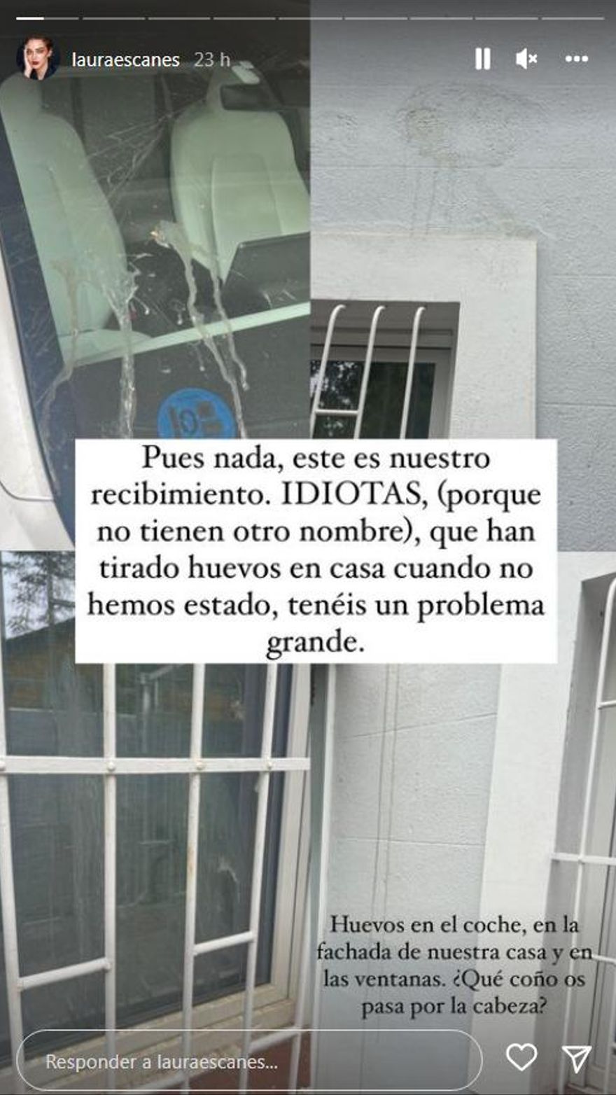 El storie de Laura Escanes denunciando lo sucedido.