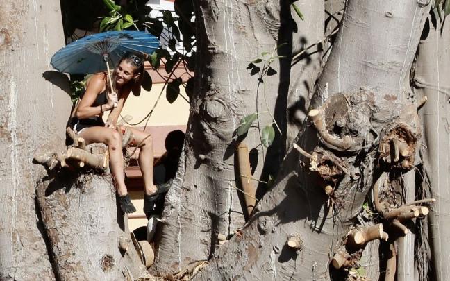 Una de las jóvenes subida al ficus de Triana.