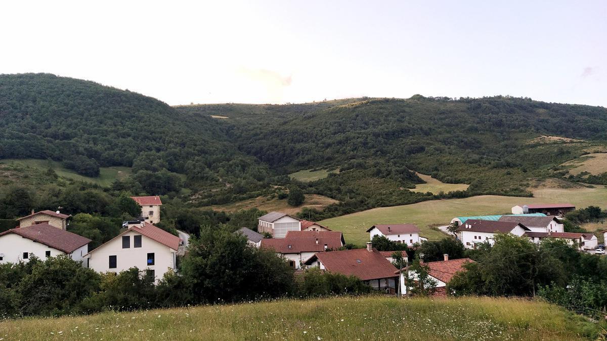 Vista de Lintzoain (valle de Erro)