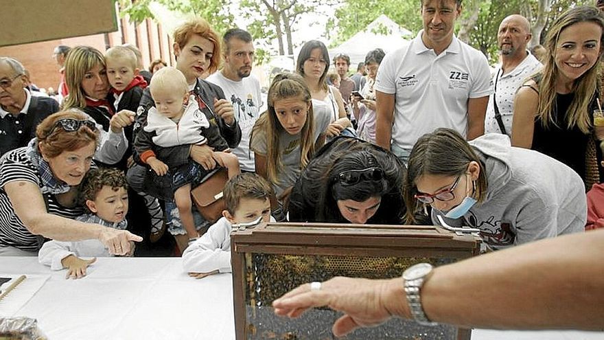 Santiagoko Azokak 40 postu baino gehiago bildu ditu animali desberdinekin