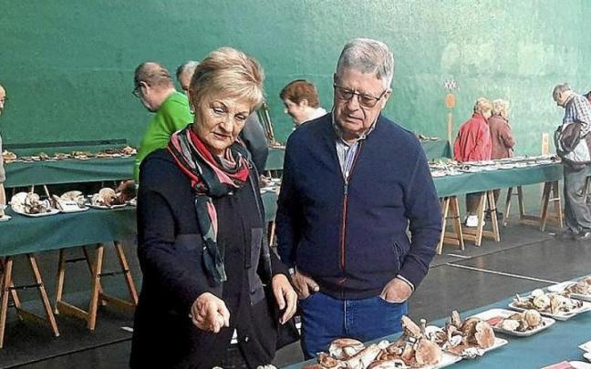 Exposici&oacute;n micol&oacute;gica ayer en el front&oacute;n de Amurrio.