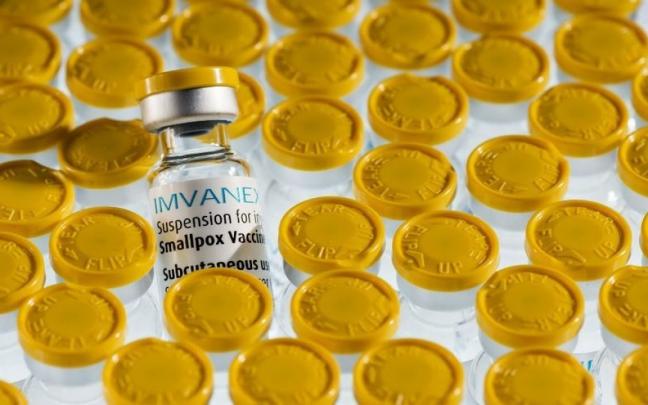En Euskadi se han identificado 85 casos de viruela del mono. En Euskadi se han identificado 85 casos de viruela del mono.