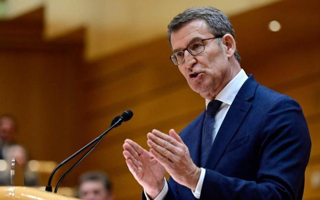 El l&iacute;der del PP, Alberto N&uacute;&ntilde;ez Feij&oacute;o