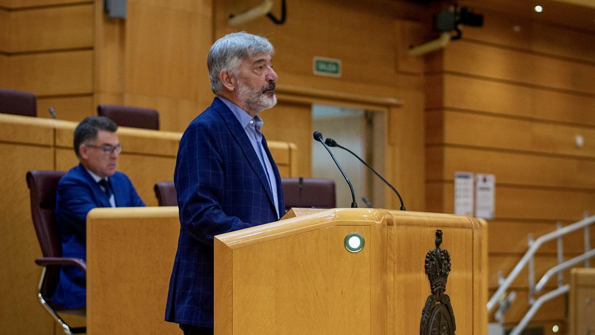 El senador navarro Koldo Martínez (Geroa Bai), en una sesión en la Cámara Alta