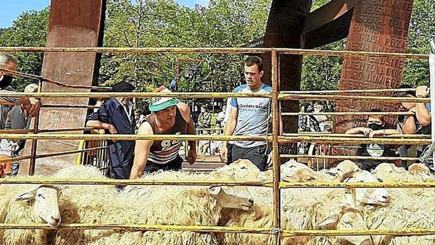 Imagen del último Artzain Eguna.