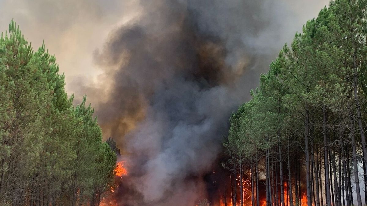 Incendios en Burdeos que han quemado ya más de 6.000 hectáreas