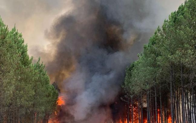 Incendios en Burdeos que han quemado ya más de 6.000 hectáreas