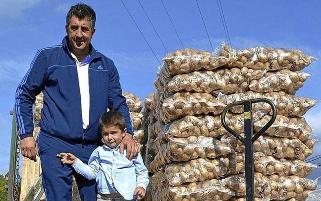 Cosecha de patatas en Valdegovía. | FOTO: P. J. PÉREZ Cosecha de patatas en Valdegovía. | FOTO: P. J. PÉREZ